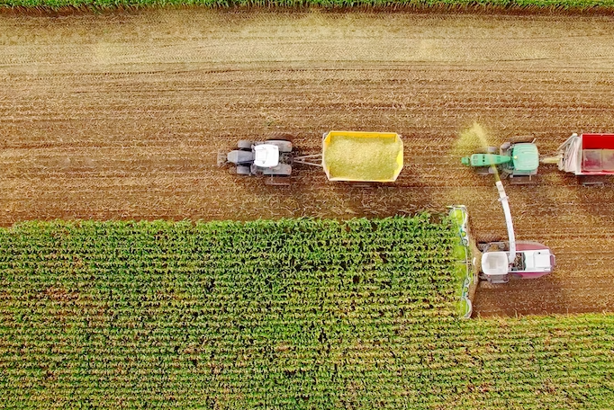 Top View of Field