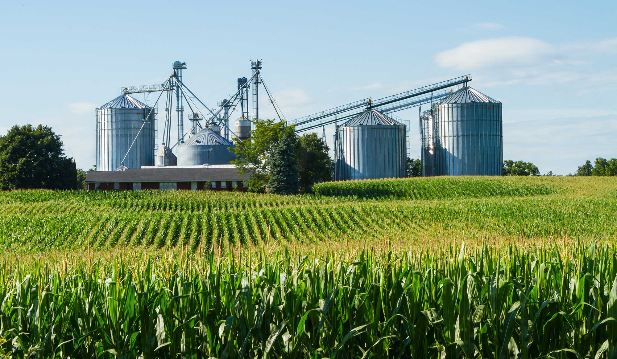 grain bins