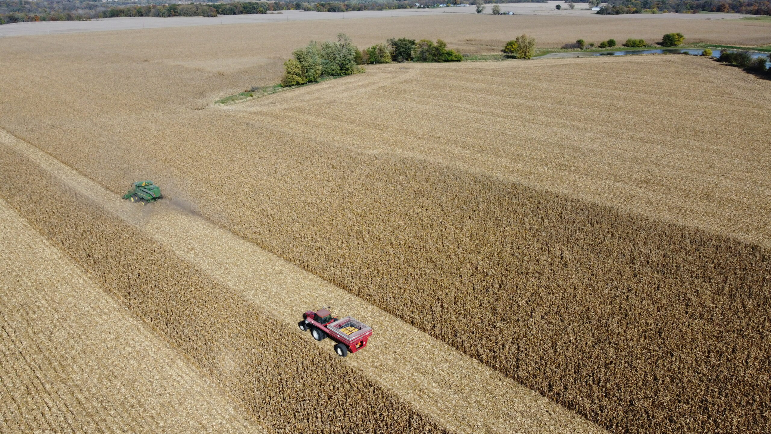 Top View of Field